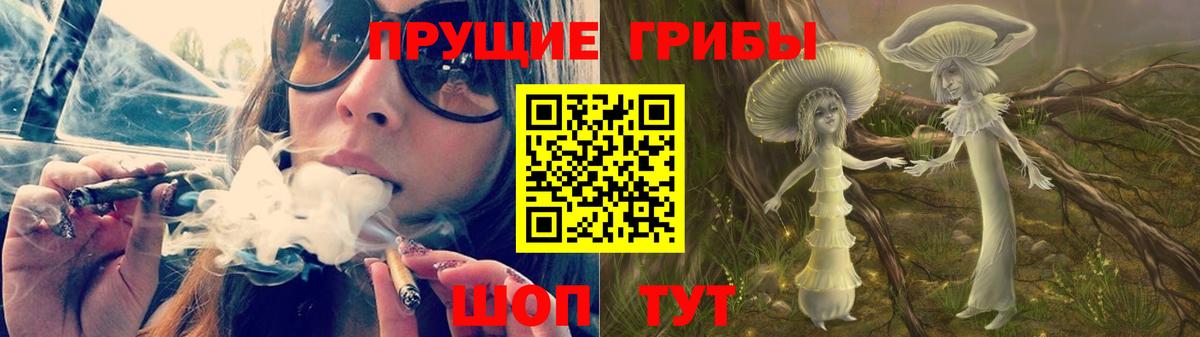 Краснознаменск  Галлюциногенные грибы GOLDEN TEACHER  Псилоцибиновые грибы прущие грибы  Вход с VPN 